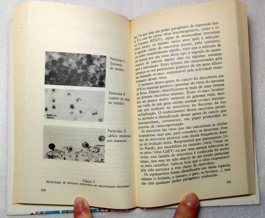 Livro SiDA – Perguntas e Respostas