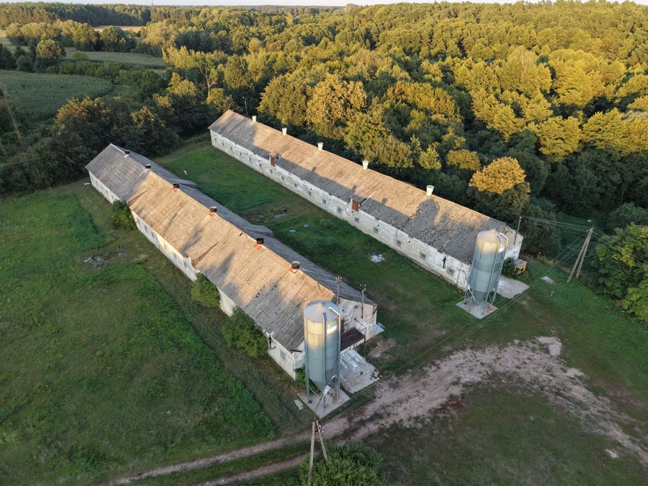 Zdjęcie 5