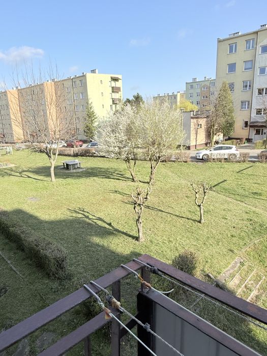 Zdjęcie 7