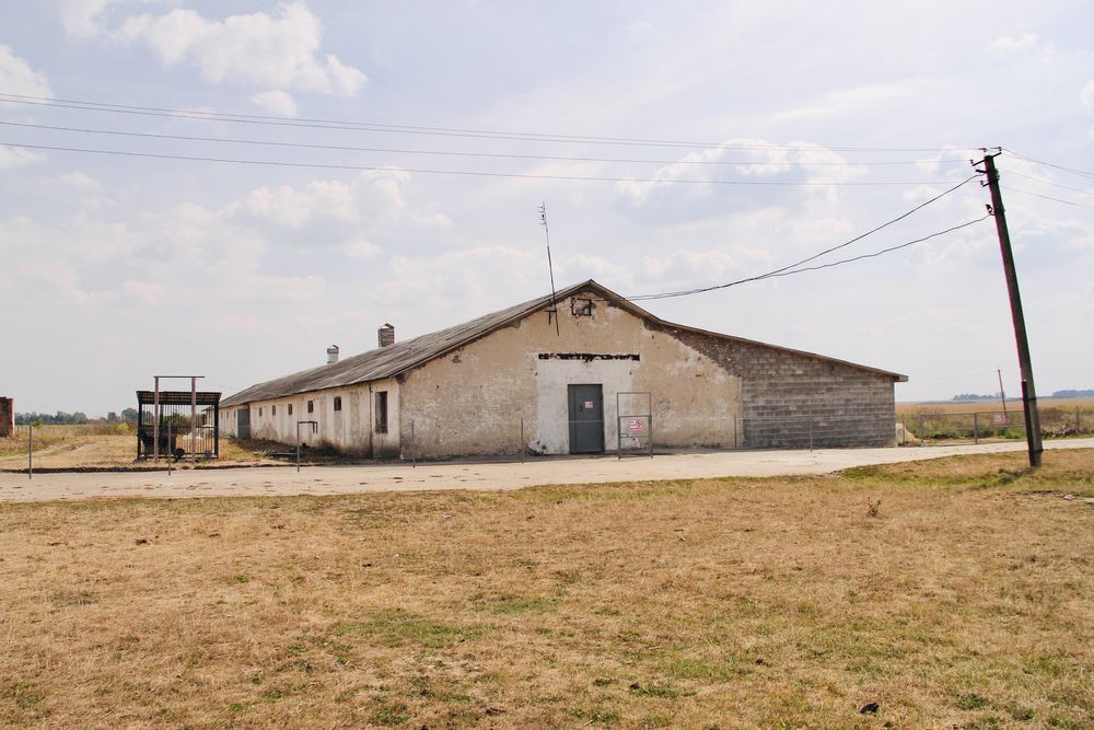 Свиноферма