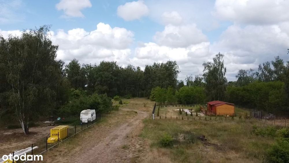 Trzciel - działki budowlane, spokojne miejsce, nowy podział, wz – pohled 5