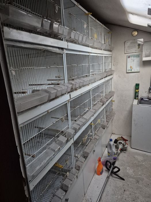 Vendo gaiolas para pássaros