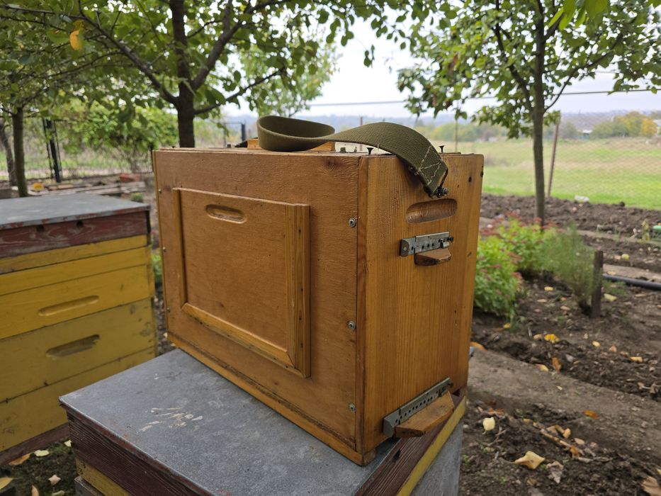 Улий наблюдательный, лечебный новый