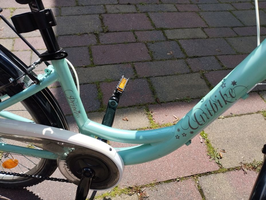 Rower Unibike Princess