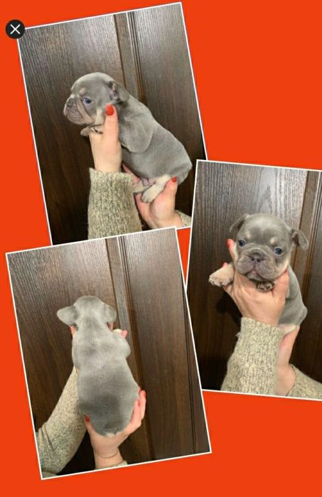 Чудо хлопчики , та дівчатка