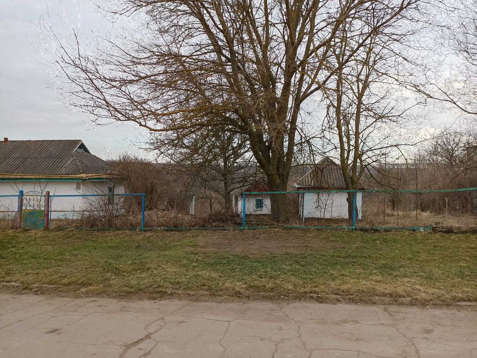 Продається будинок із земельною ділянкою