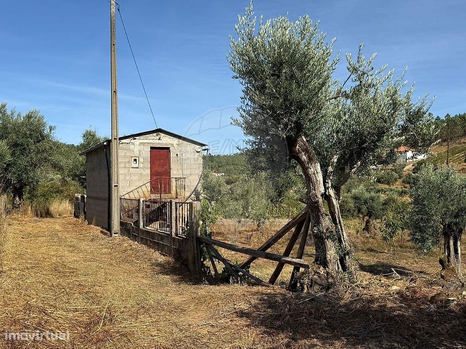 Terreno  para venda — Janeiro De Cima E Bogas De Baixo, Castelo Branco