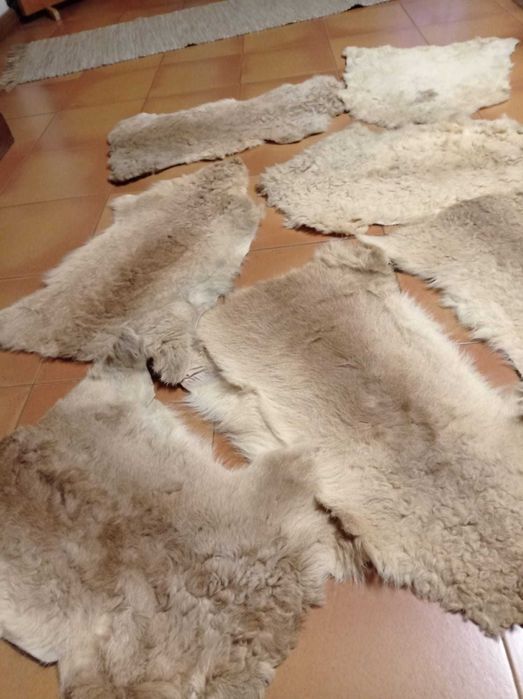 Peles Cordeiro em ótimo estado (55 peles)