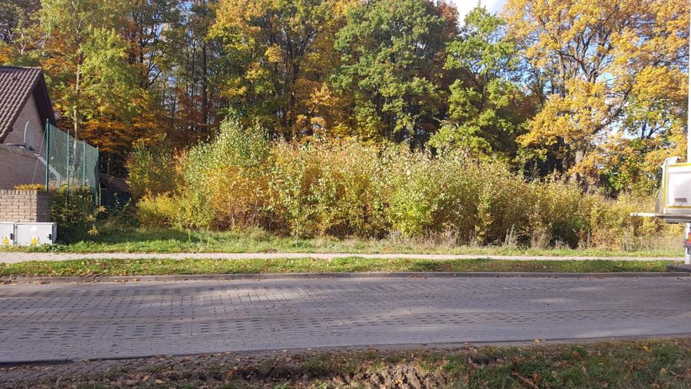 Wycinka drzew oraz mielenie gałezi