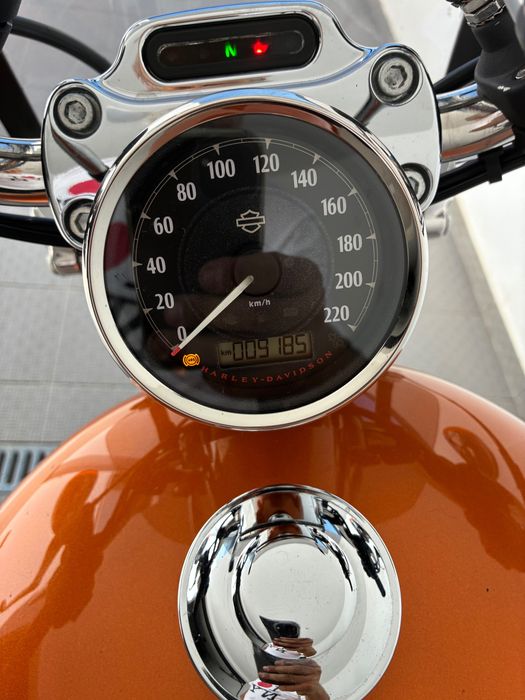 Harley Davidson Sportster XL 1200 Custom 2015