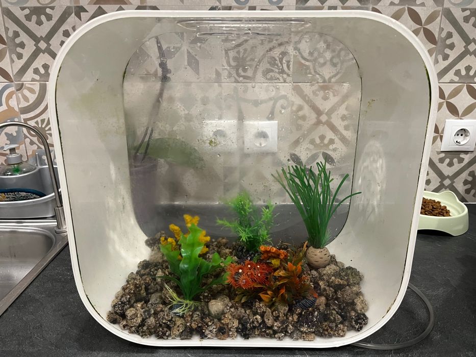 Aquário para peixes
