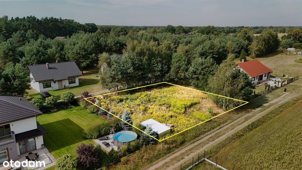 Pęciszów koło Trzebnicy/otoczenie lasów