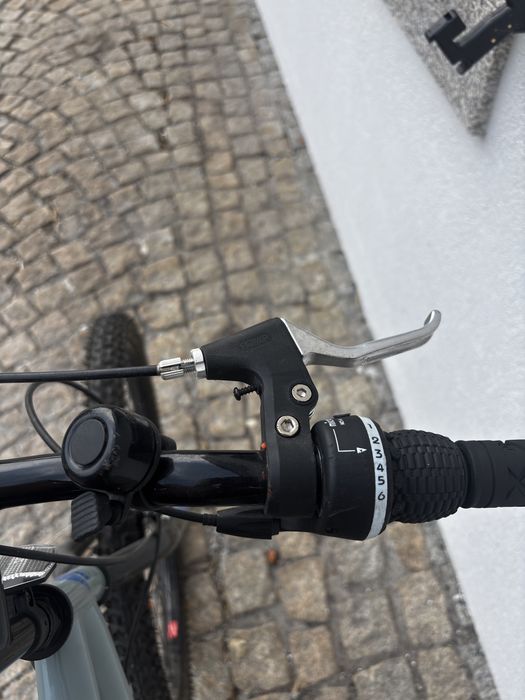 Bicicleta.  Berg