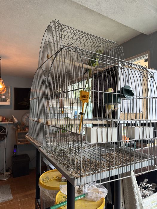 Gaiolas passaros ideal Para criacao