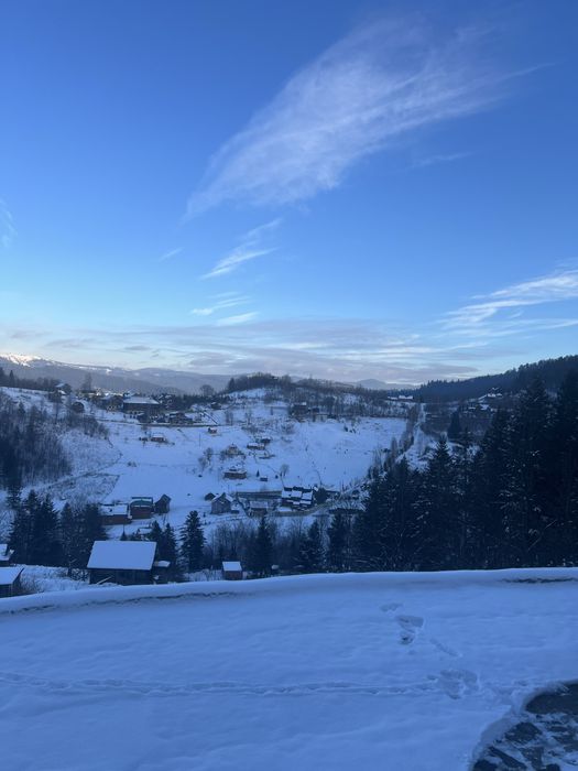 «Карпатский Рай» Вілла Яремче Оренда