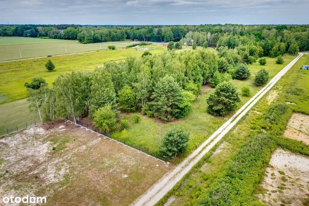 Działka 3000 m² z potencjałem inwestycyjnym – Bory