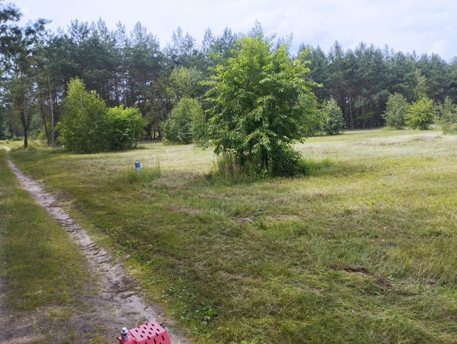 Zdjęcie 6