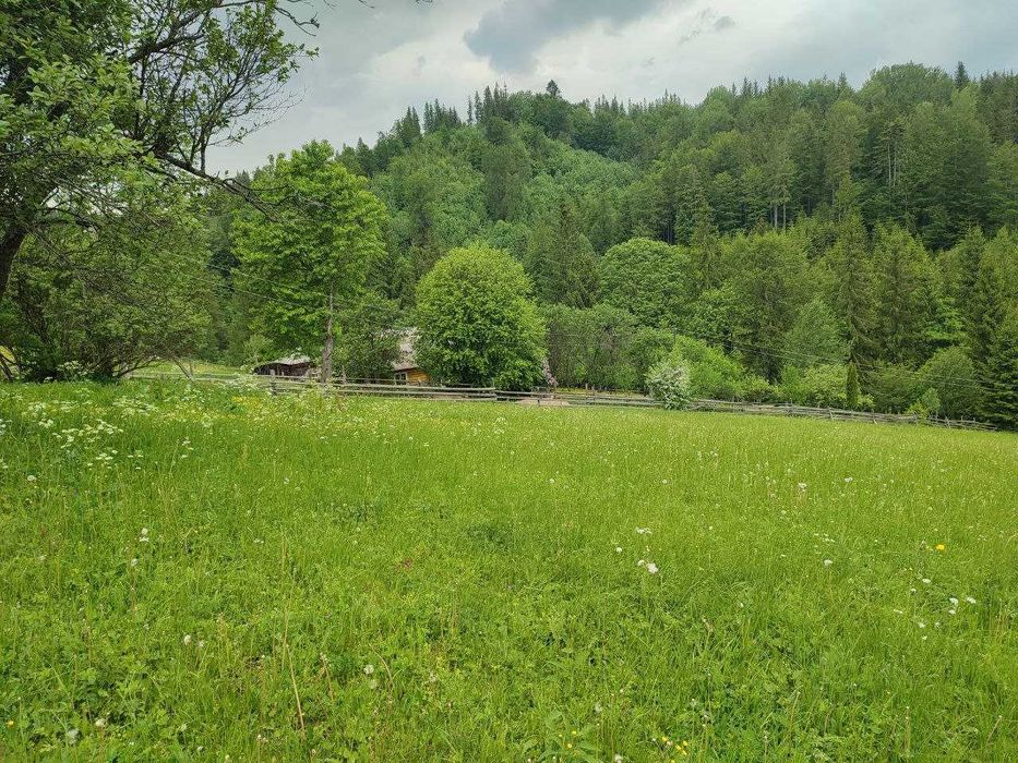 Продається земельна ділянка в серці Карпат ( Кривопільський перевал )