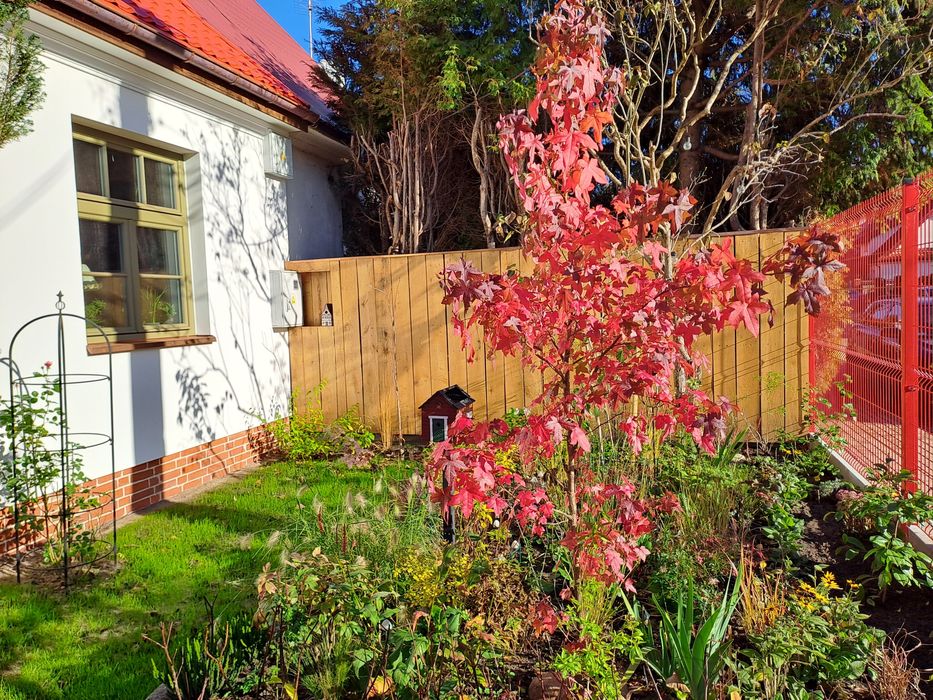 Dom po generalnym remoncie Warszawa Międzylesie blisko PKP i las