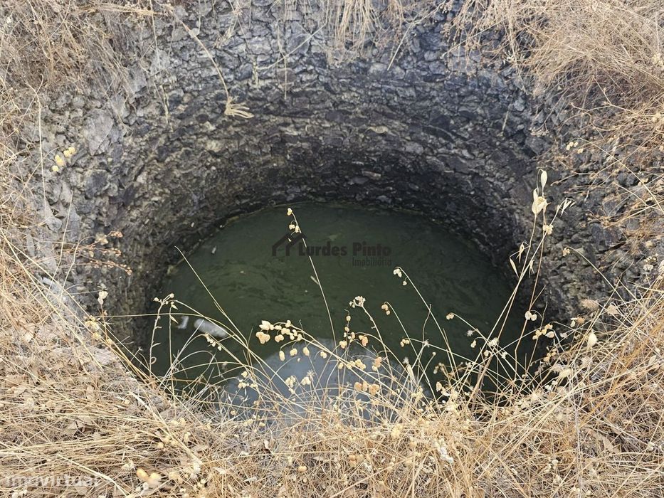 Quintinha com sobreiros