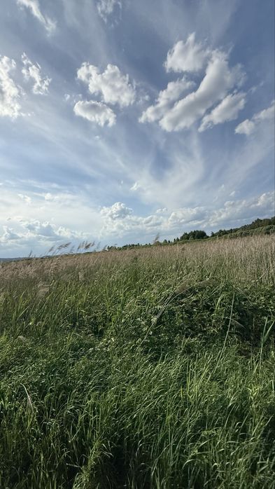 Ділянка 8 га, с. Романків, Підгірці, Київська область