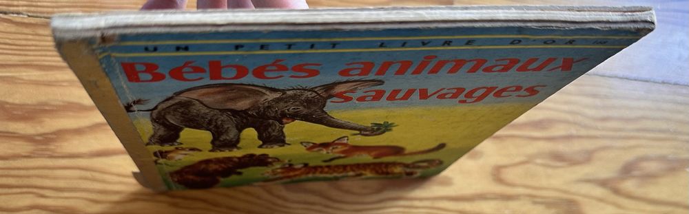 Livro antigo sobre animais selvagens para criancas