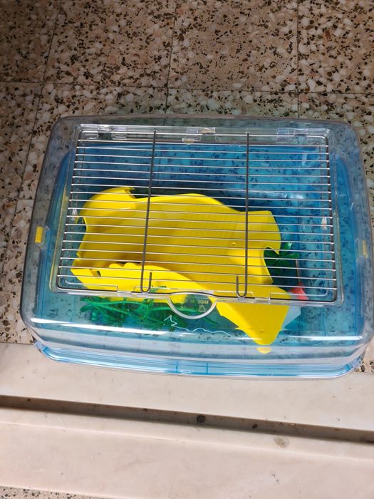 Tartarugueiras como novas