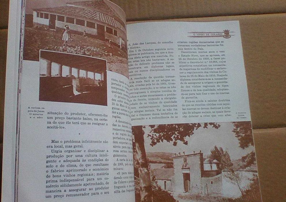 O vinho de colares