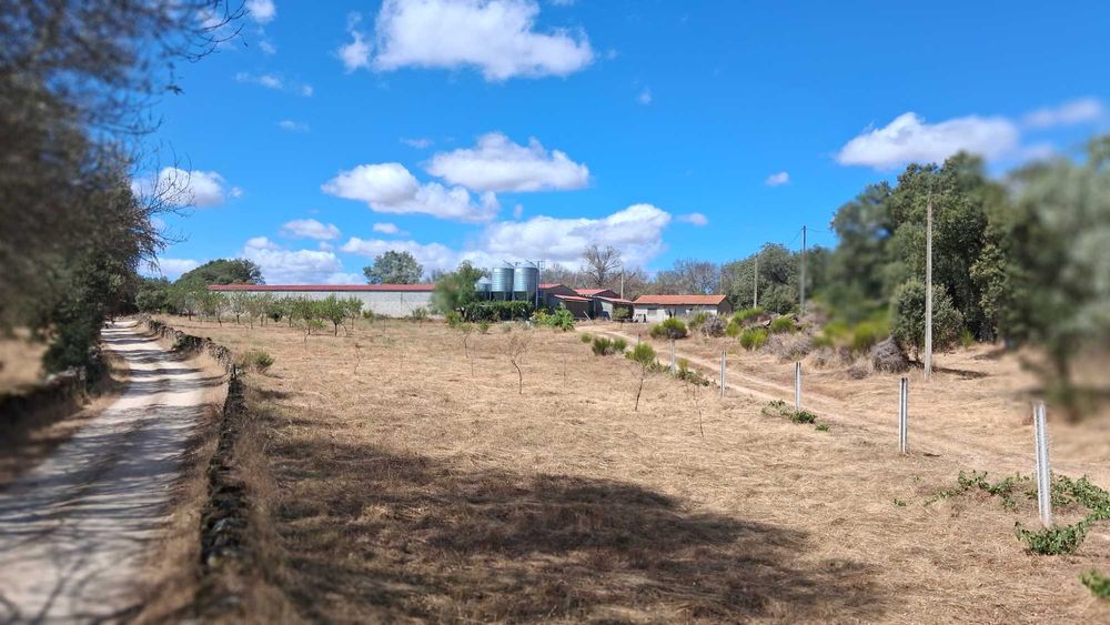 VENDE -SE Terreno em Vale de Aguia no caminho velho de Miranda do Douro
