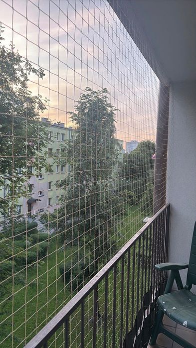 Siatka balkonowa dla kotów / na gołębie