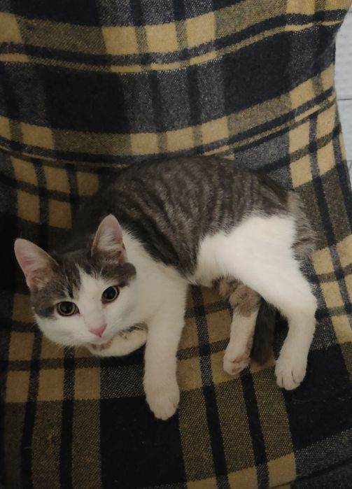 Малыш в добрые,ответственные  ручки