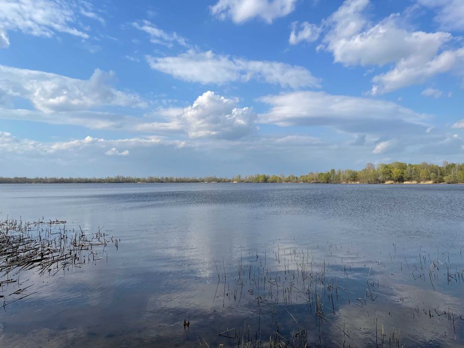 Ексклюзивні ділянки на березі Десенки (затока Доманя) — Деснянський р-н. Троєщина