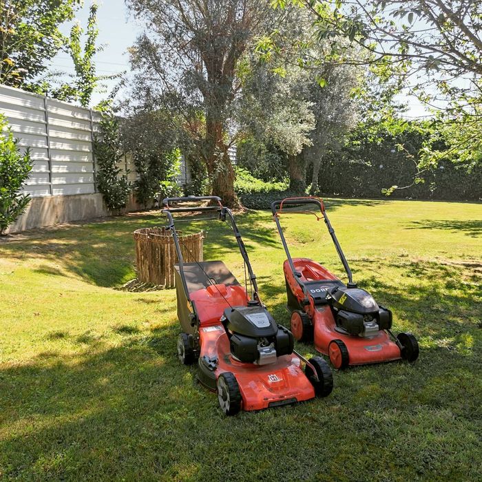 Jardinagem e paisagismo