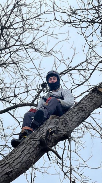 Зрізання дерев | обрізка , стрижка рослин | вантажні перевезення