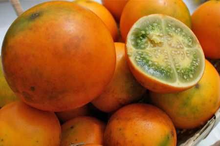 Naranjilla (lulo) Solanum quitoense - Sementes