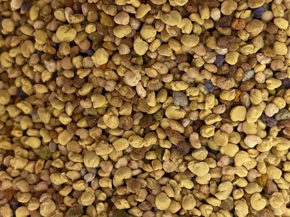 Pyłek pszczeli 1 kg – naturalny, prosto z pasieki