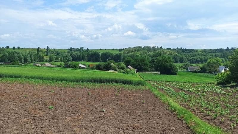 Продам земельну ділянку с.Черкас