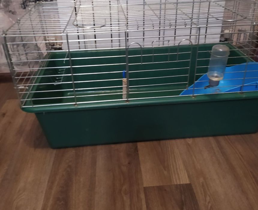 Велика клітка для кроликів