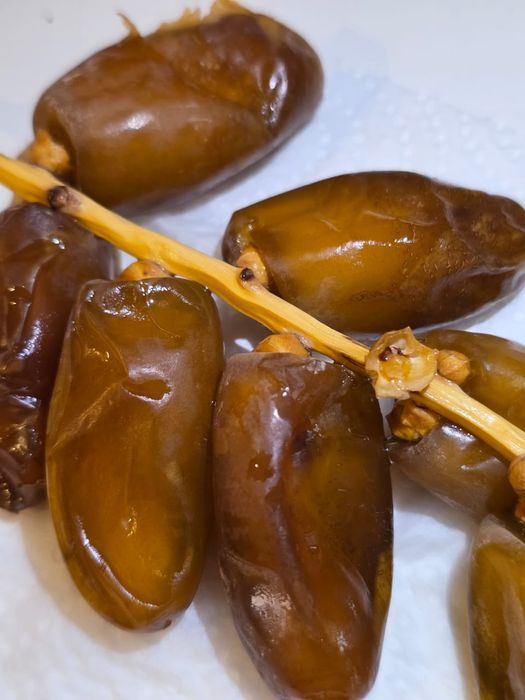 Tâmaras/ dattes/تمر (deglet Nour Algérie)
