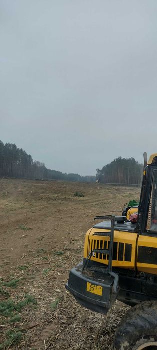 biomasa#wycinka  lasów#drzew#las#mulczowanie