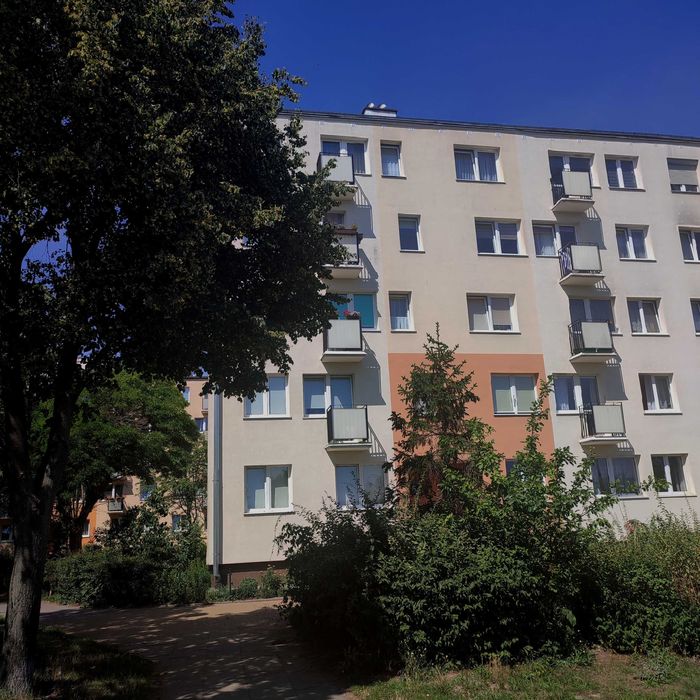 Zdjęcie 5