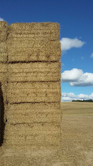 Sprzedam słomę kostki bele transport