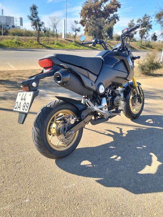 Honda msx 125 grom