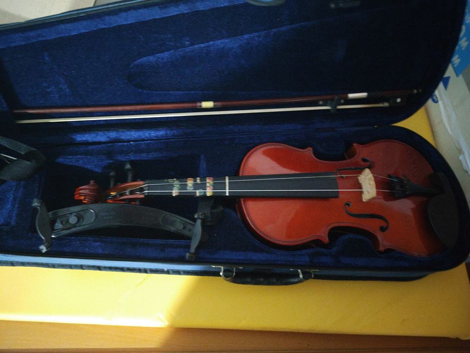 Violino 4/4 iniciantes