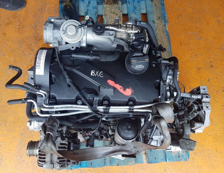 Motor VW Golf V / Passat / Touran / Seat Leon / Audi A3 / Skoda Octavia 1.9 Tdi Ref. BXE