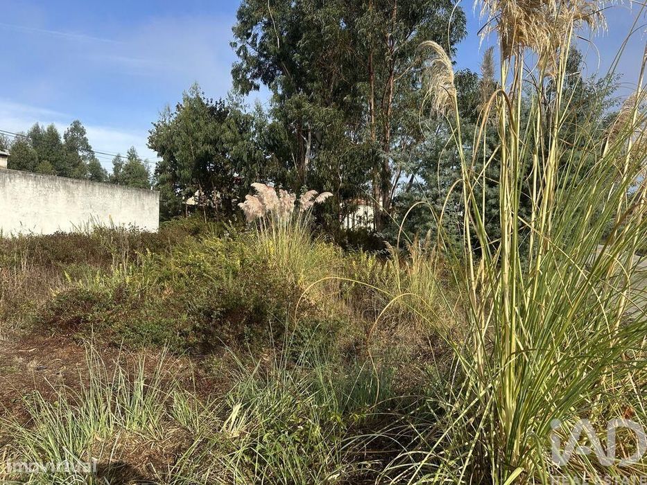 Terreno em Requeixo, Nossa Senhora de Fátima e Nariz de 310,00 m2