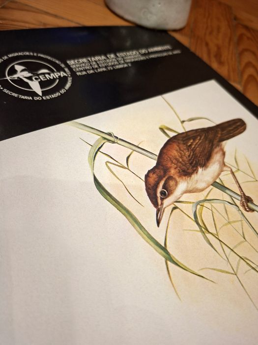 Poster Aves Insectívoras Portuguesas