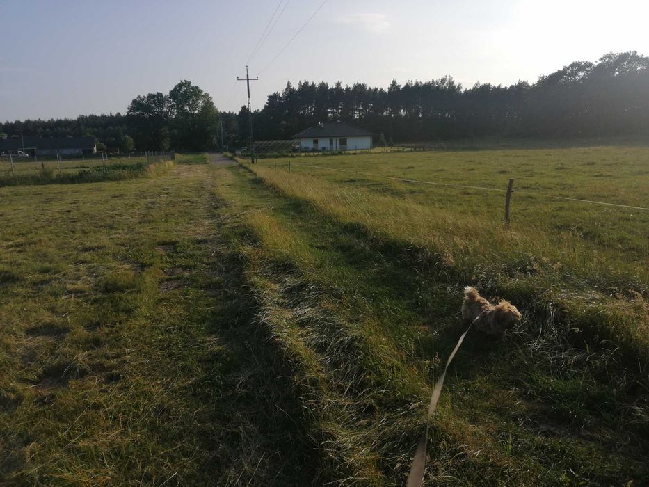 1 h 2 duże działki ładna okolica