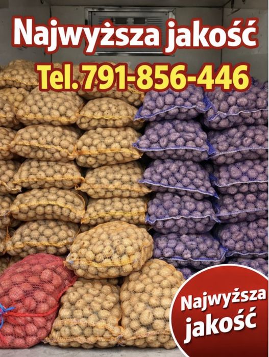 Ziemniaki l rok po centrali kal. sadzeniaka i jadalnego-dostawa gratis
