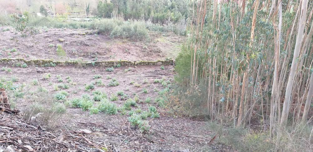 Penafiel-Terreno para construção com 5712m2 próximo parque cidade